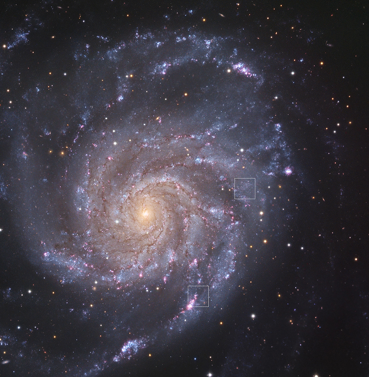 M101 with and without SN2011fe