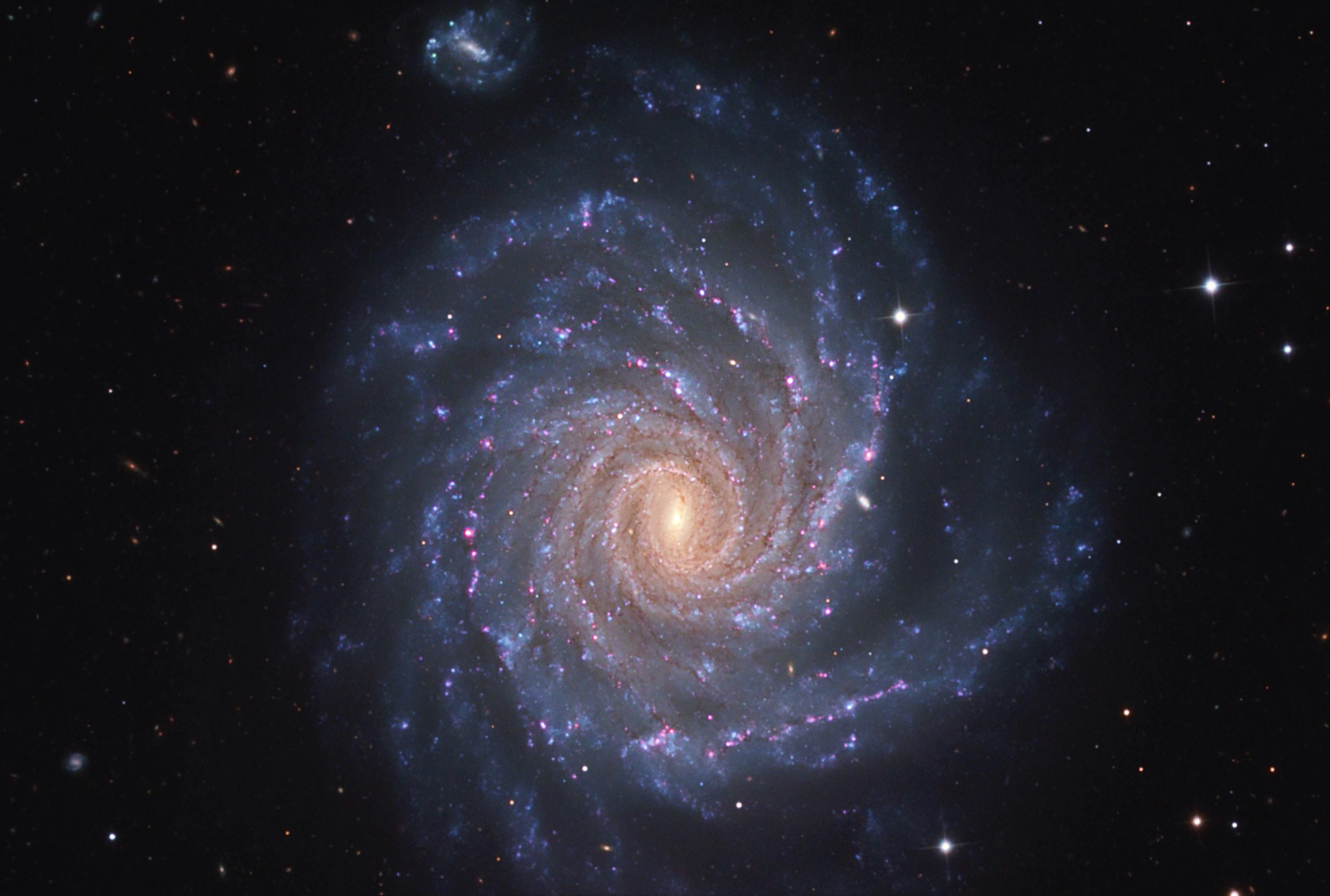 ngc 1232