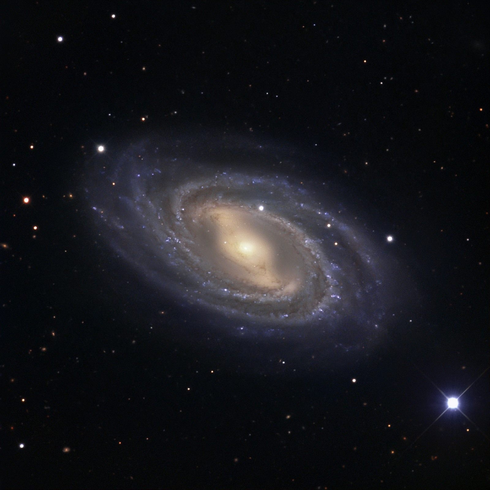 M 109 in Ursa MajorM 109 in Ursa Major